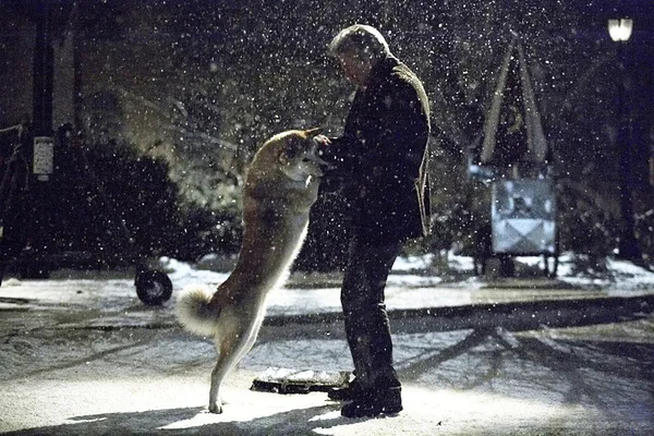 Hachi: A Dog's Tale