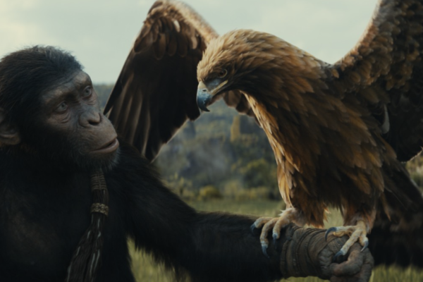 Rise of the Planet of the Apes 4: Novo Mundo – Contra-ataque dos Macacos, Reflexo da Humanidade